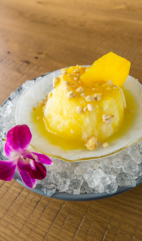 Hawaiian Shave Ice plated atop dish of crushed ice